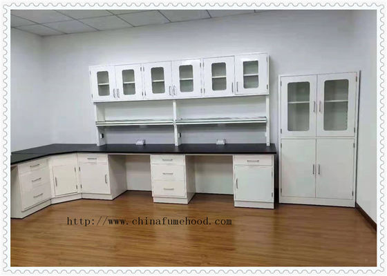 Bom preço Mobília do laboratório de química do governo com o risco da cremalheira do reagente resistente on-line