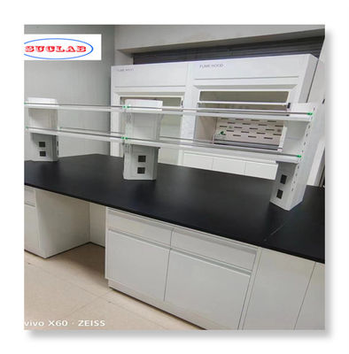 Bom preço Mobiliário de laboratório de química de aço com capacidade de instalação rápida Material durável on-line