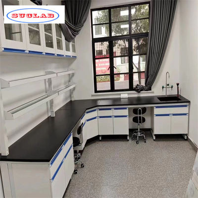Bom preço Mobiliário de laboratório de química personalizável com design modular de aço inoxidável on-line