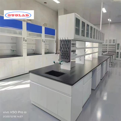 Bom preço Banco de laboratório de química como número de buracos e ganchos de desenho para uma gestão eficiente do laboratório on-line