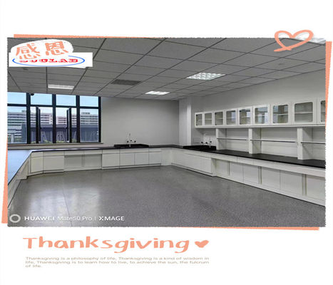 Bom preço Mobiliário Modular de Laboratório de Química para Laboratórios on-line