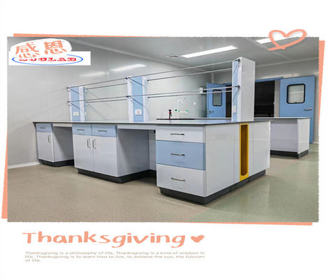 Bom preço Banco de Ilha de Laboratório Personalizado Pacote de madeira contraplacada de exportação para mobiliário de laboratório Estrutura modular on-line