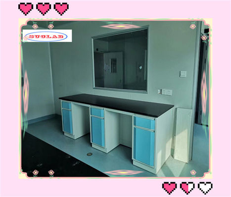 Bom preço Material de banco de laboratório de química de sumidouro de PP com tipo de servidor OEM e torneira de revestimento on-line