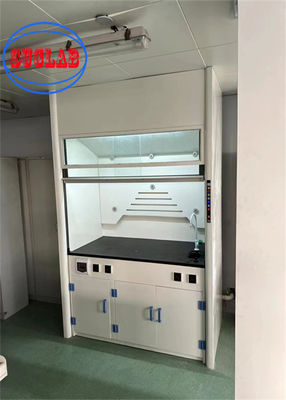 Bom preço Velocidade do ar 0,5-0,8 m/s Gás de torneira de fumo de recirculação armário para experimentos de laboratório on-line